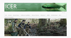 Desktop Screenshot of icer.soton.ac.uk